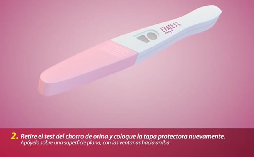 Evatest es confiable sales