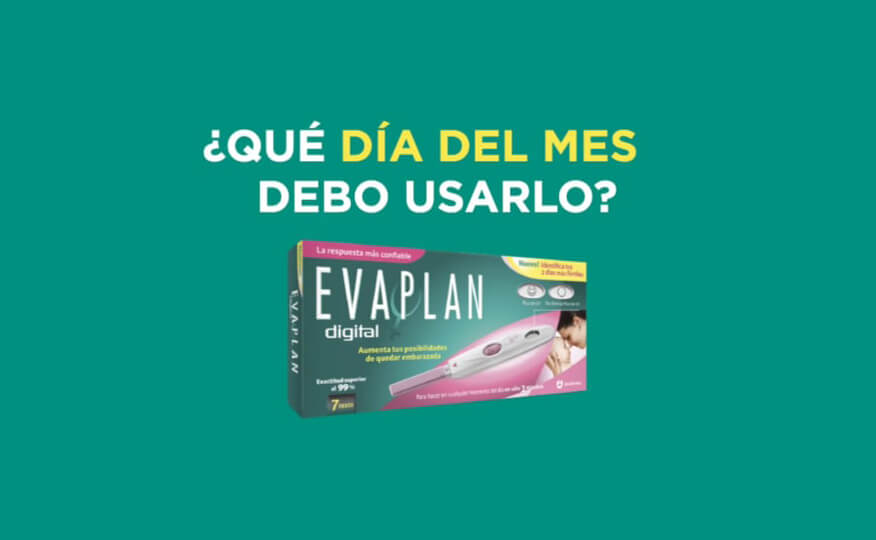  Evatest | ¿CÓMO HACER UN EVAPLAN DIGITAL?